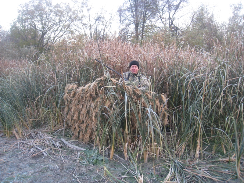 Константин Николаевич